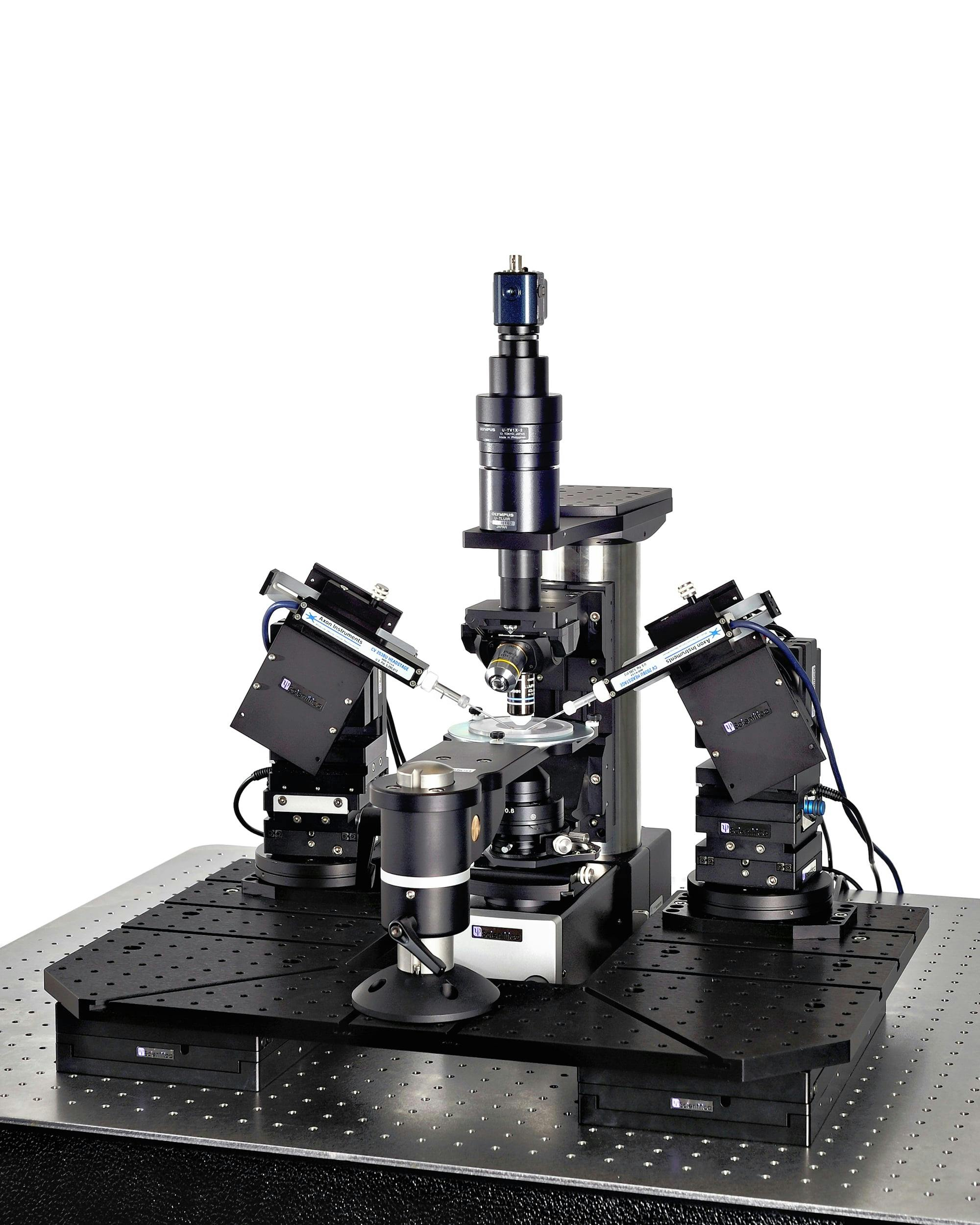 Electrophysiology rig