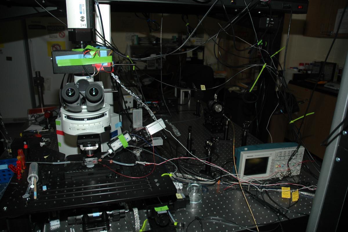 CRACM patch-clamp rig
