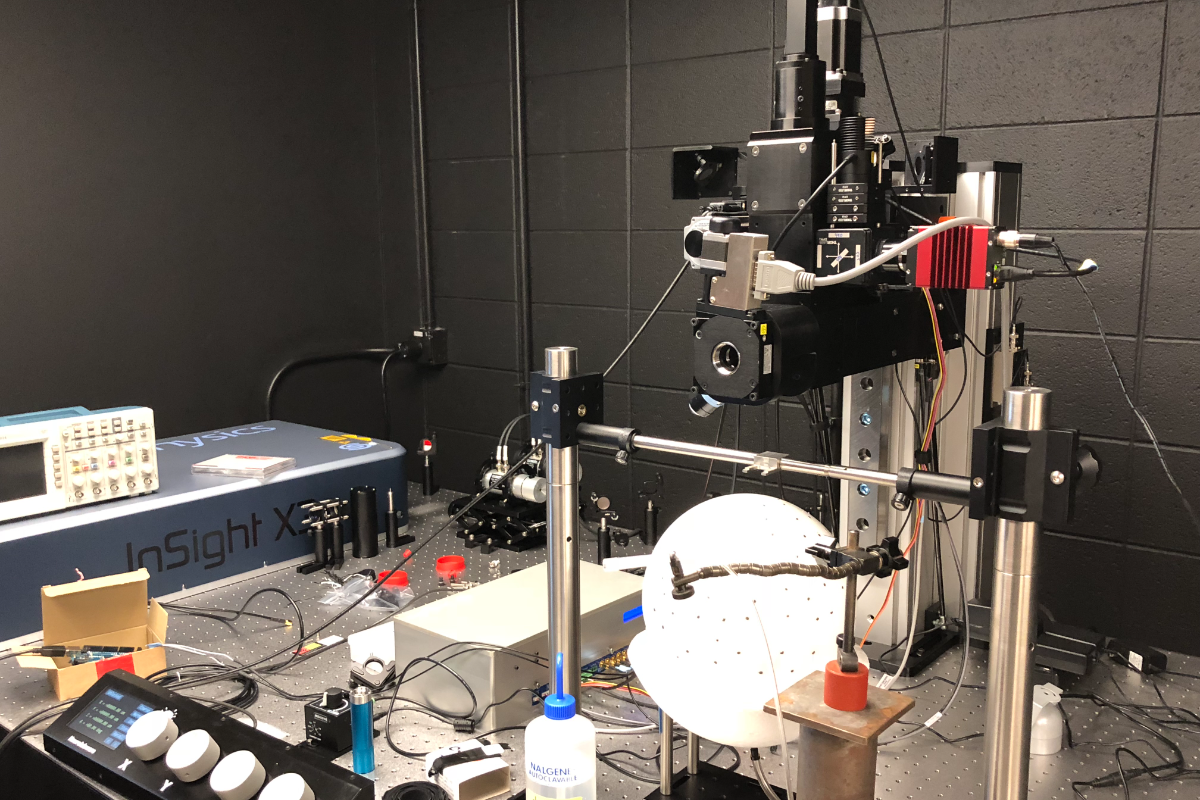 Two-photon imaging rig