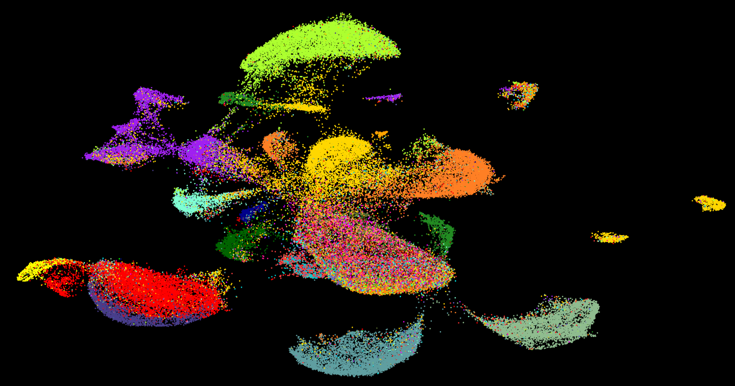 UMAP projection of 80,000 single cells colored by 34 cell-type annotations