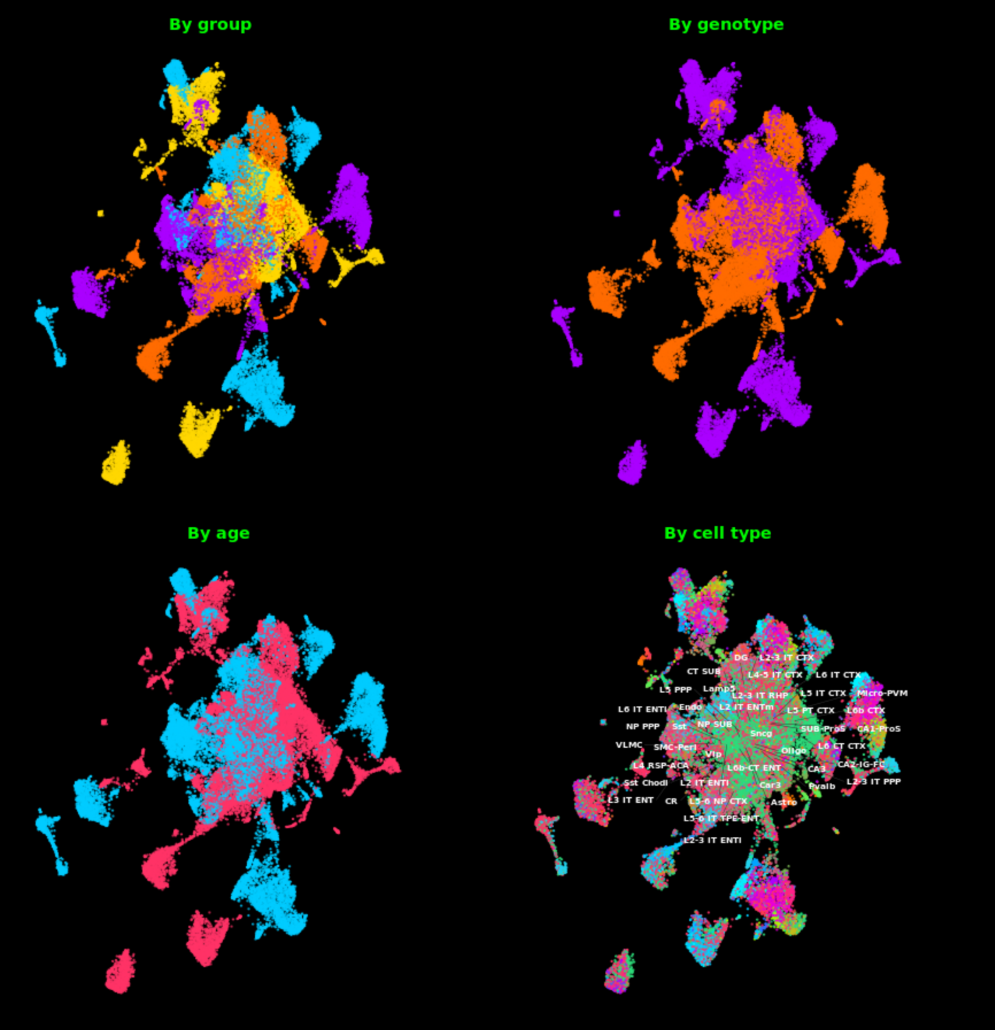 Four-panel UMAP projection of ~2.2 million cells from Visium HD spatial mapping, resolving 41 cell types, split by sample group, genotype, age, and cell type.